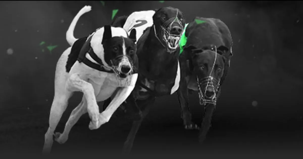 中国选手首,战皆墨,丁俊晖失利,新葡京,新葡京app,新葡京娱乐,新普京赌场