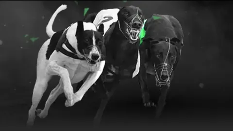 中国选手首战皆墨，丁俊晖失利，斯佳辉压力倍增